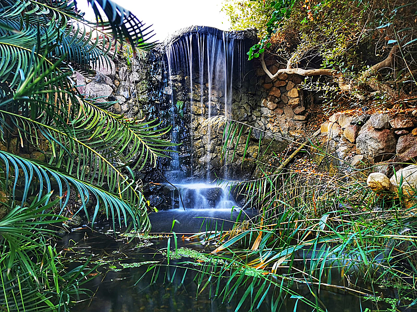 הגן הבוטני של אילת
