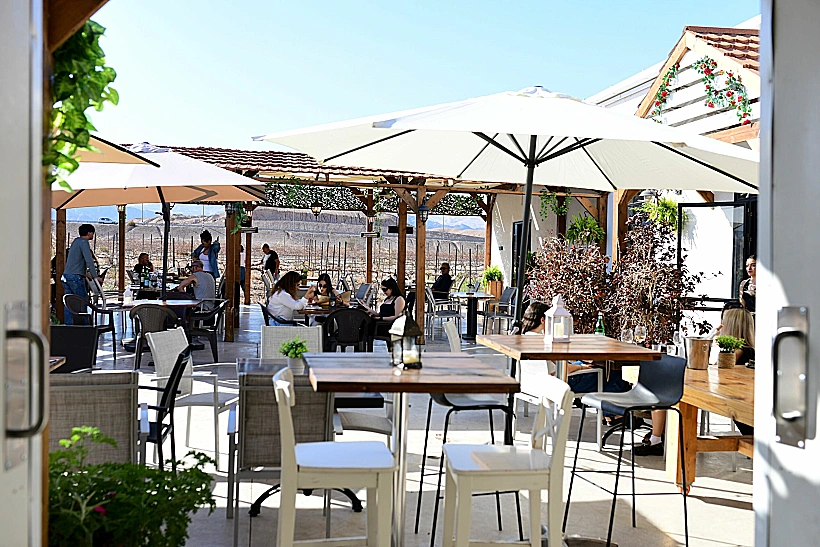 כרם ויקב הים האדום