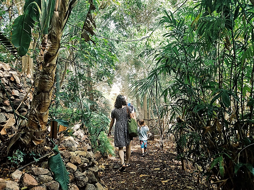 הגן הבוטני של אילת