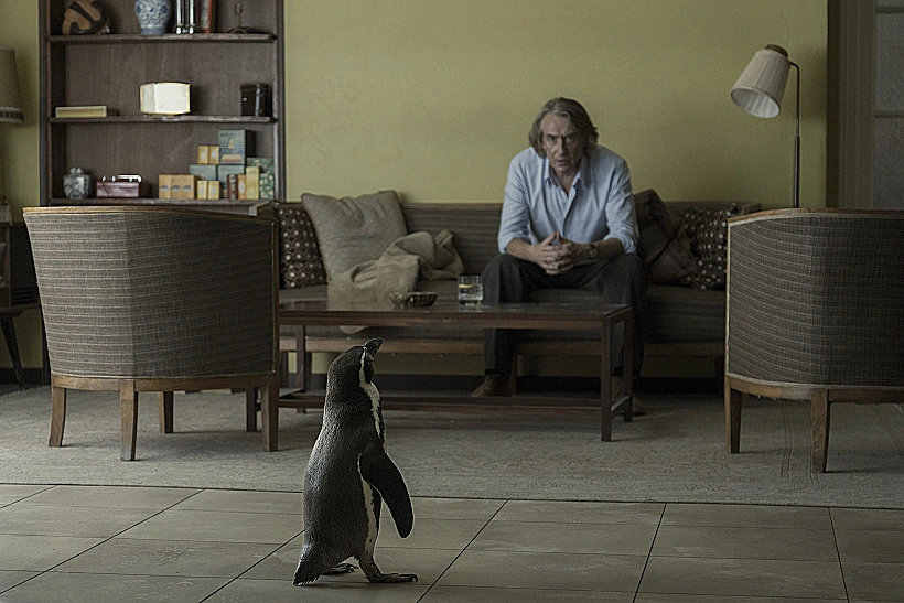 "שיעורים בפינגווינית"