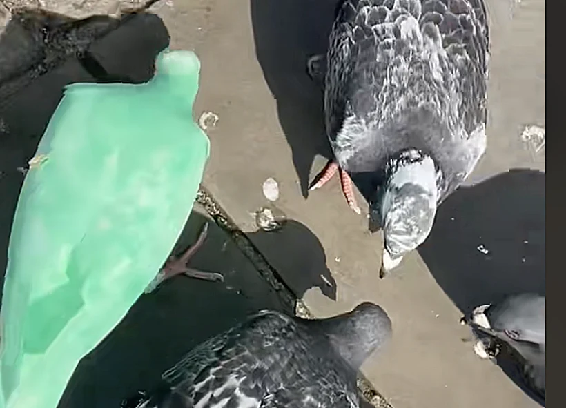 All Saints Church In Northampt