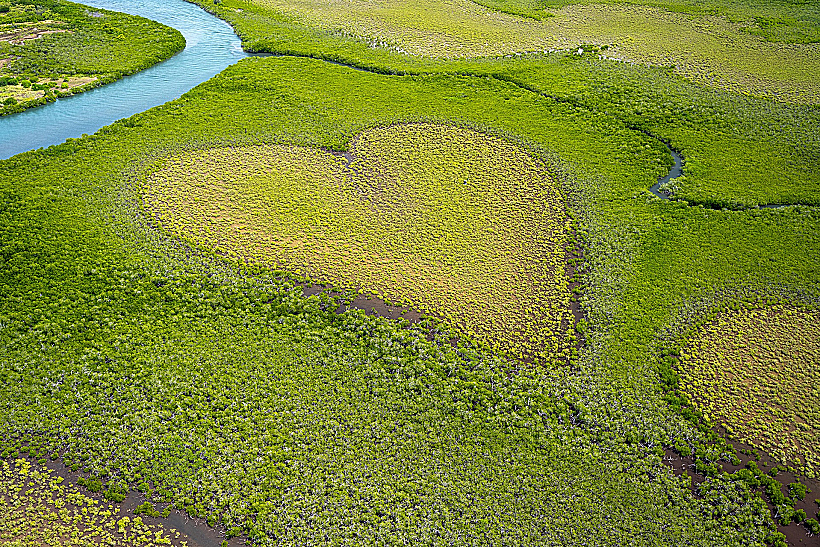 קלדוניה החדשה