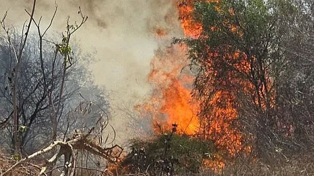 שריפה בצריפין
