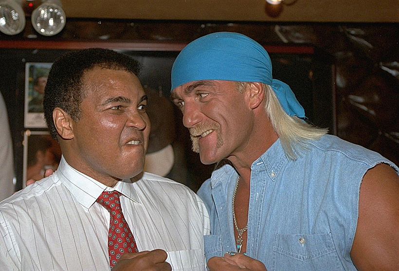 האלק הוגאן ומוחמד עלי, 1993