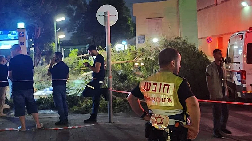 זירת קריסת העץ באסף הרופא