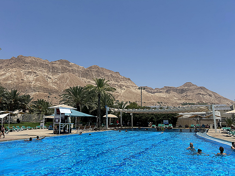 הבריכה של מלון עין גדי