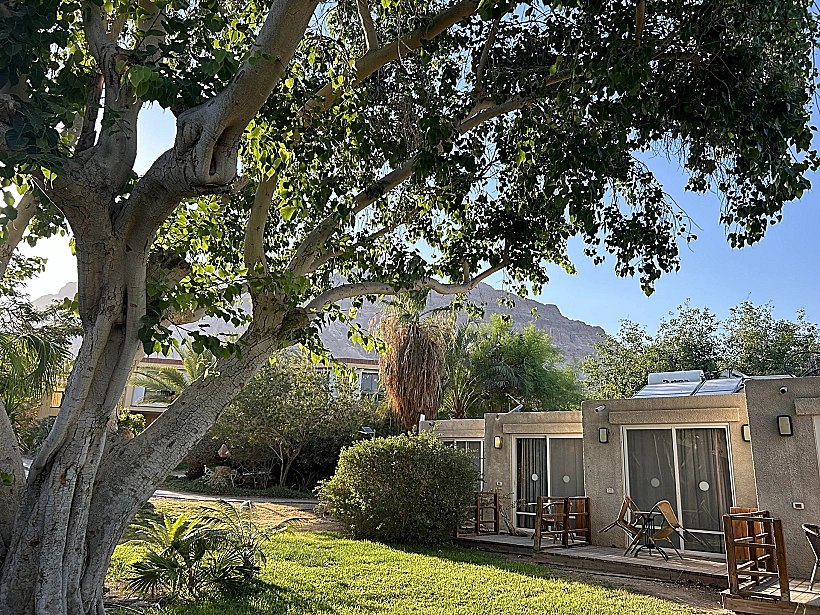 מלון עין גדי