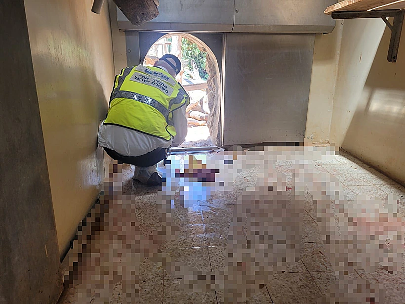 זירת תקיפת הנמר בגן החיות התנ"כי בירושלים