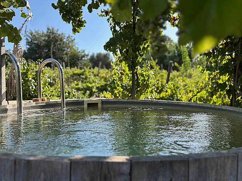 בריכת הטבילה הפרטית בחמדתיה