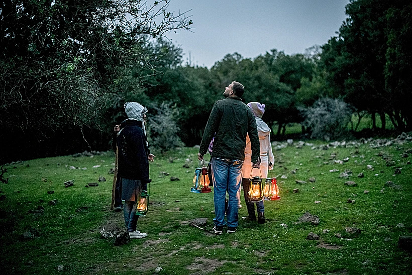 סיור עששיות בשביל היער יער אודם