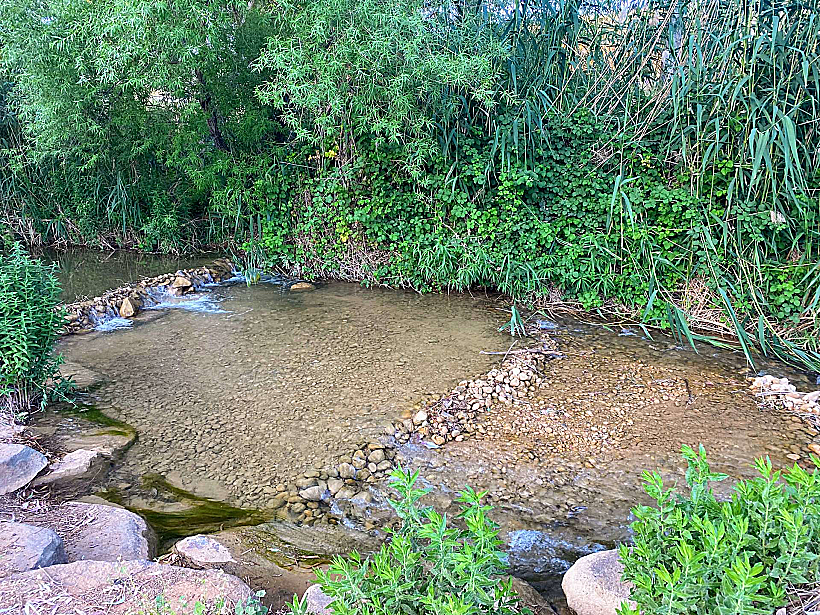 הבריכה בפארק המנחת קריית שמונה