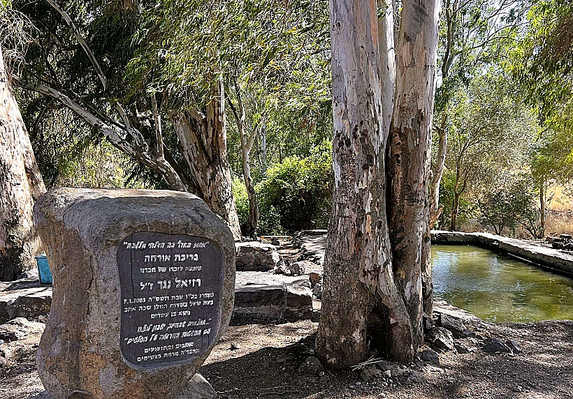עין ג’וחדר (עין אורחה) – בריכה בלב חורשה