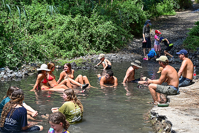 מבלים בבריכת הקצינים ברמת הגולן
