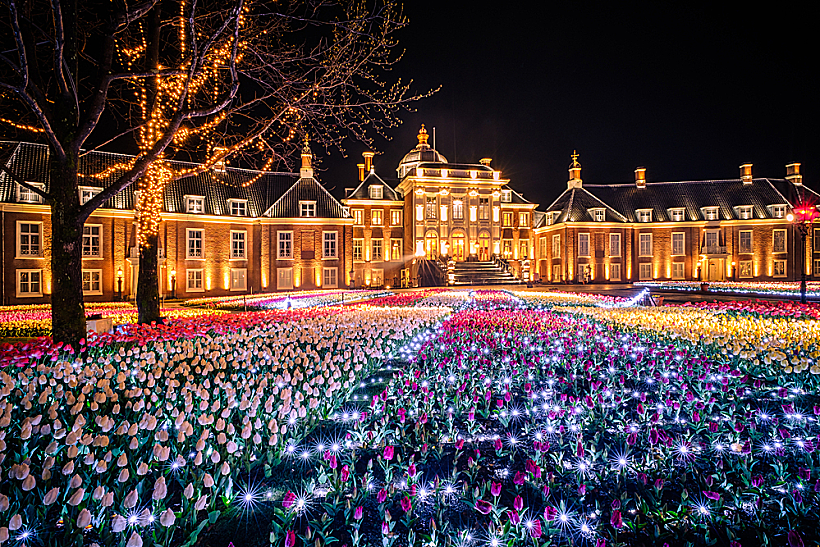 פרחים ב-Huis Ten Bosch Park בנגאסקי יפן