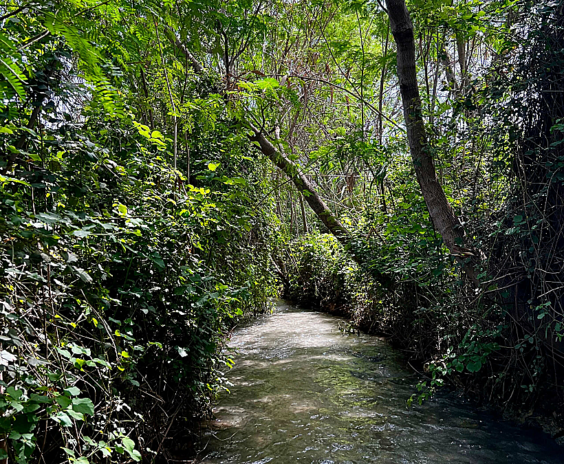 המסלול הרטוב – שביל צביקה