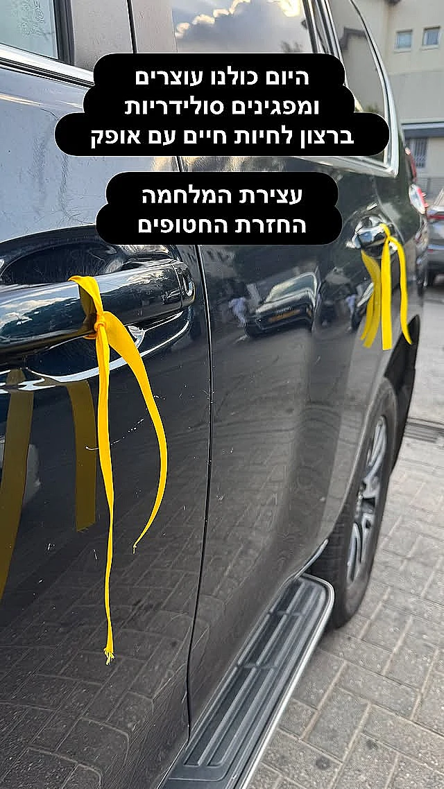 עדי אשכנזי