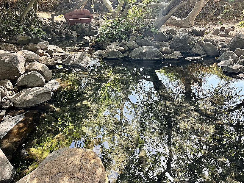 עין פחורה רמת הגולן