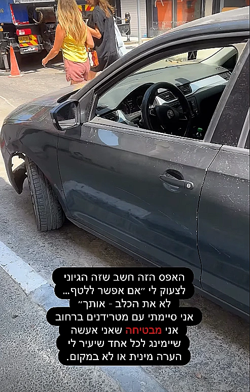 דנית גרינברג