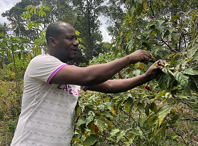 סיור בחות תבלינים זנזיבר