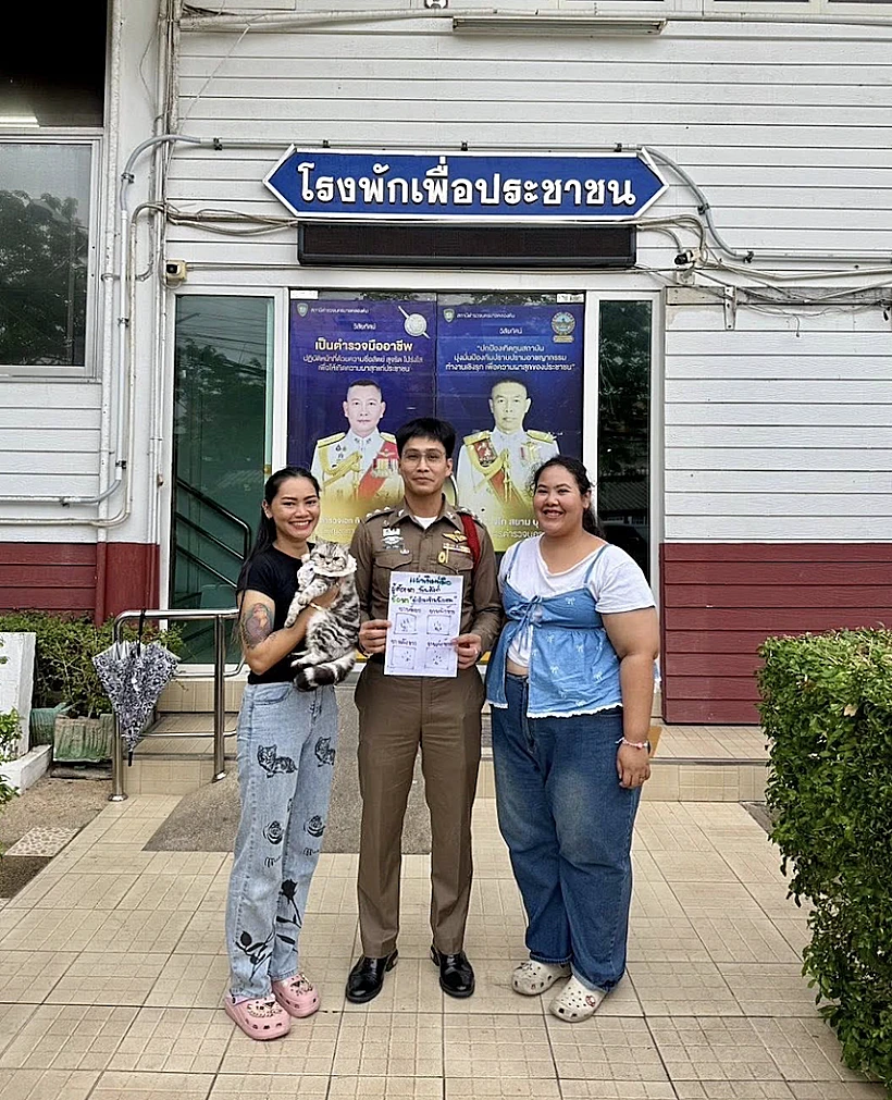 מעצרה של החתולה