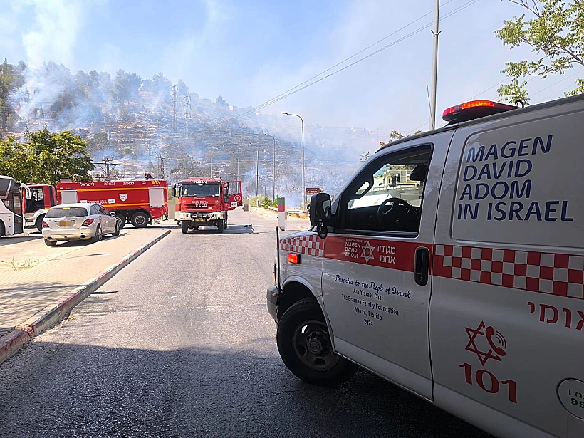 זירת השריפה בעמק הארזים