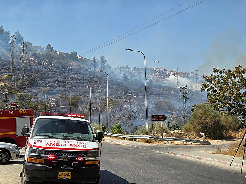זירת השריפה בעמק הארזים