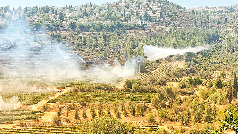זירת השריפה בעמק הארזים