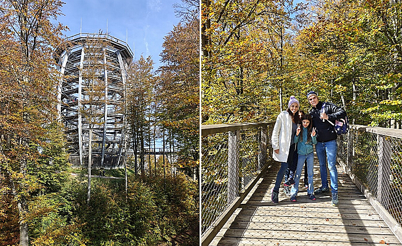 מסלול צמרות העצים גמונדן אוסטריה