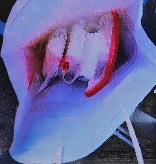 הסמים שנתפסו אצל החשודים