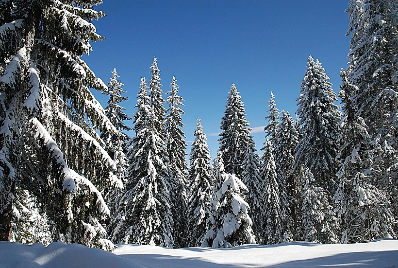 אתר הסקי Pamporovo בבולגריה