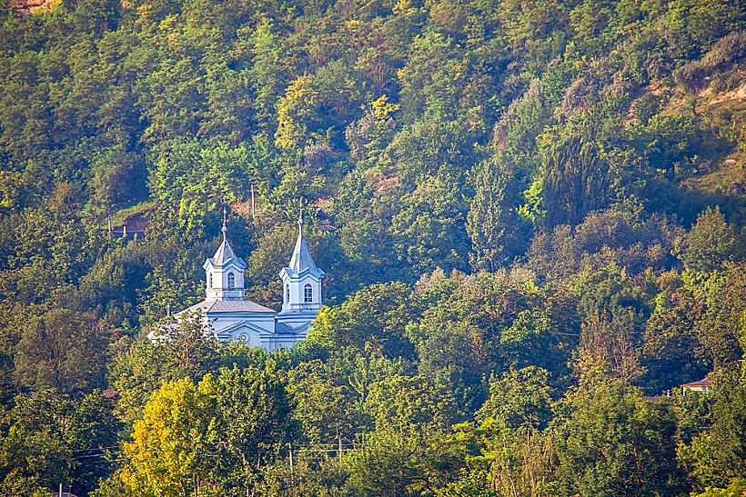 שמורת קודרי (Codru) במולדובה