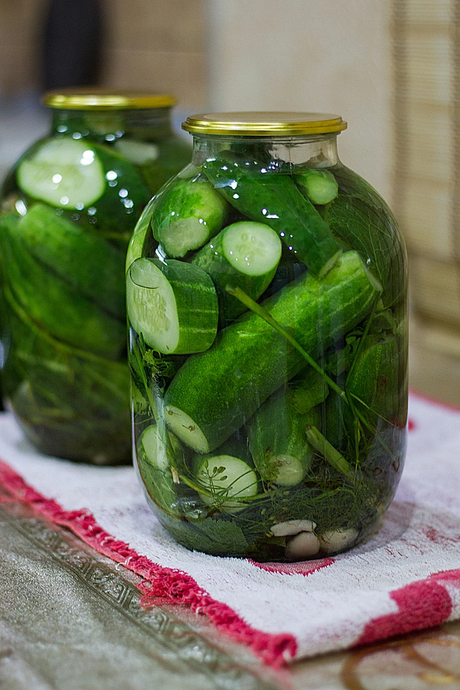 מלפפונים חמוצים, מלפפון חמוץ