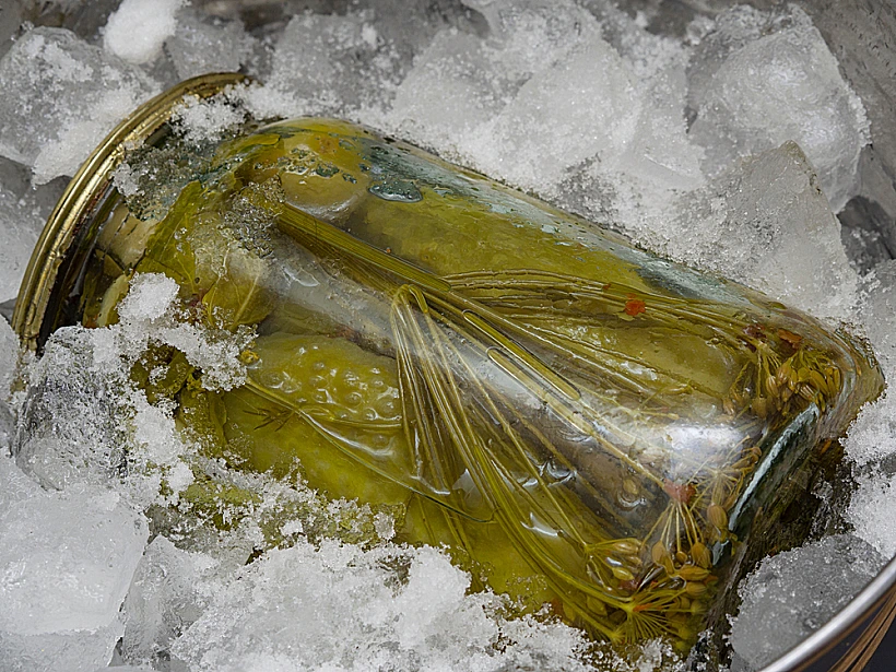 מלפפונים חמוצים, מלפפון חמוץ