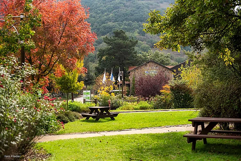 קיבוץ מרום גולן