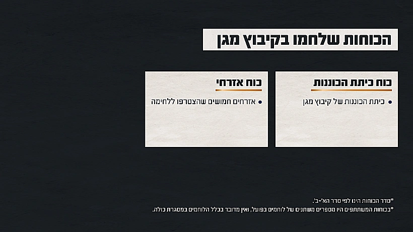 תחקיר הקרב בקיבוץ מגן, הכוחות הלוחמים