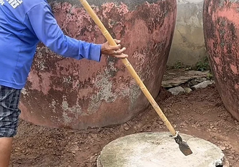 בור הספיגה בחצר של טאווי