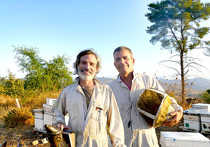 אהוד הלוי ותלם גלילי ממכוורת גליל דן