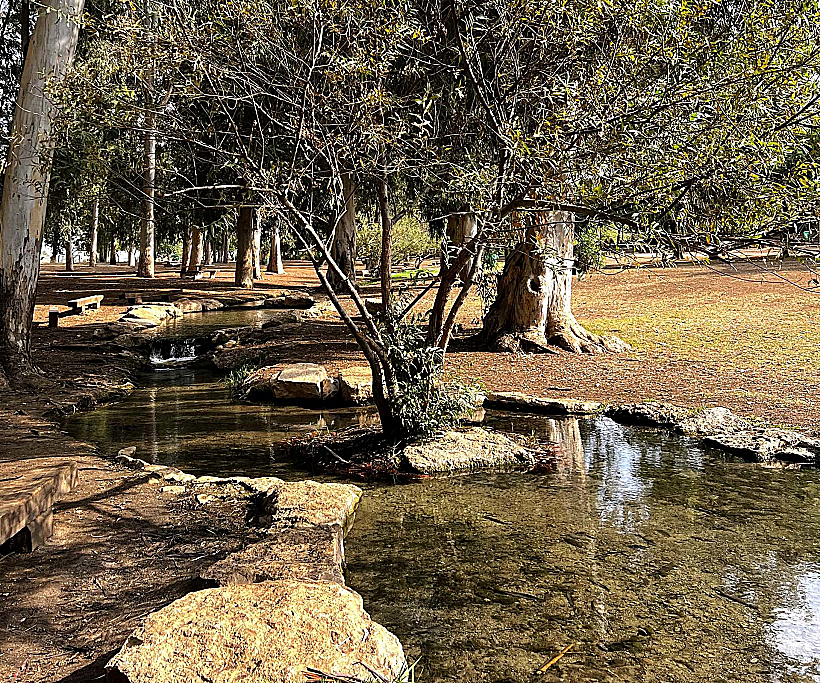 בריכות שכשוך בתל אפק
