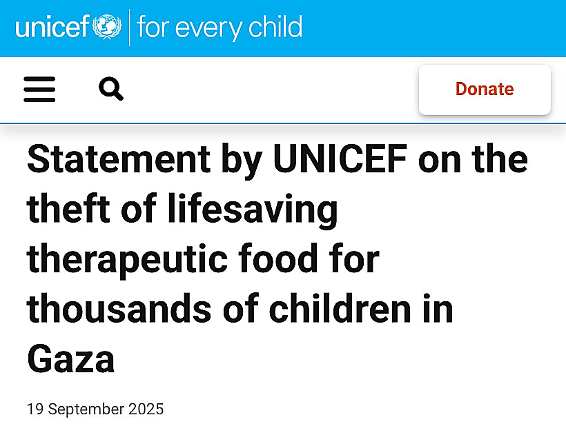 כותרת על שדידת מזון לתינוקות בעזה