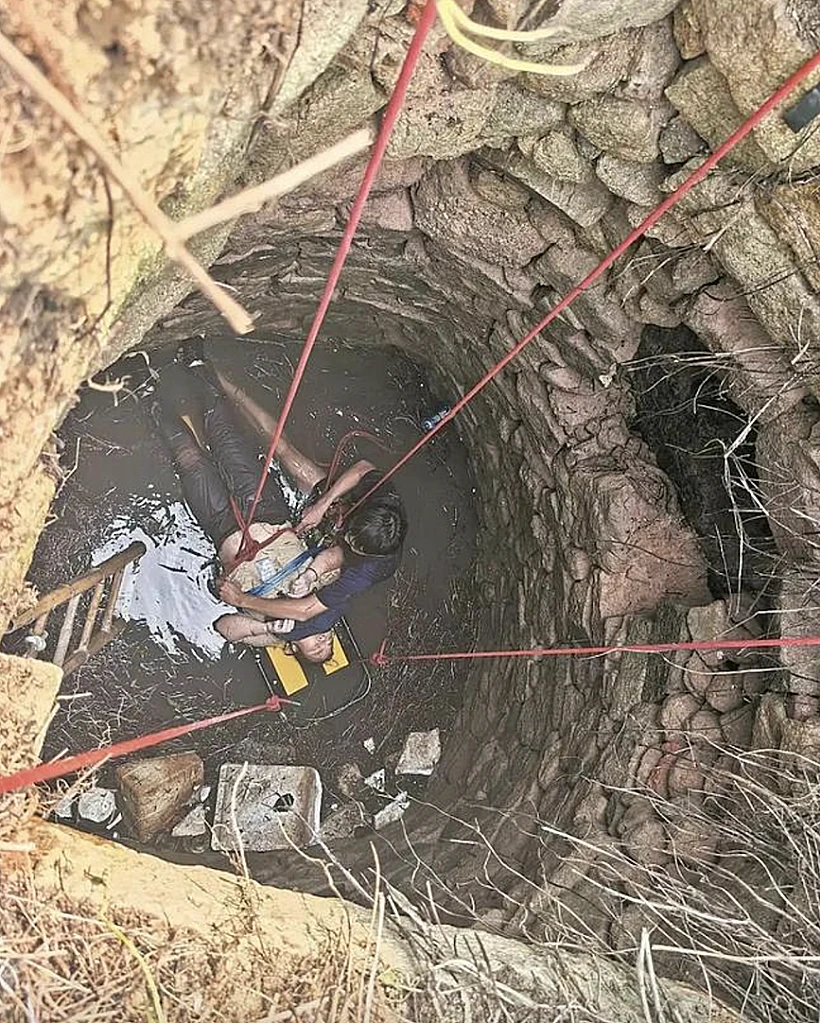 נפלה לבור עם נחשים ושרדה