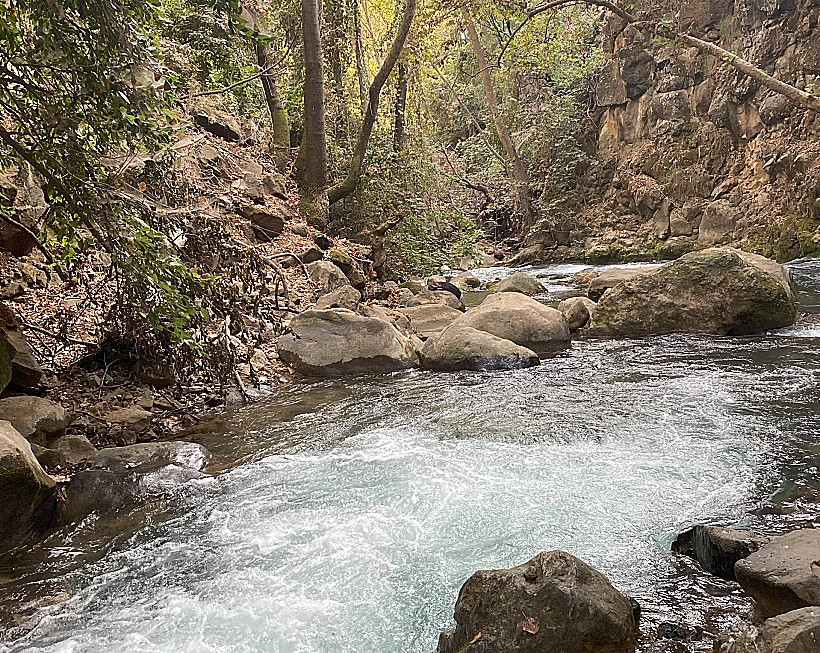 מסלול ההליכה לצד הבניאס