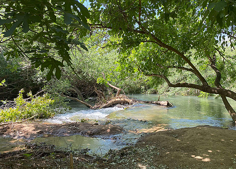 נבי יהודה - נחל חרמון
