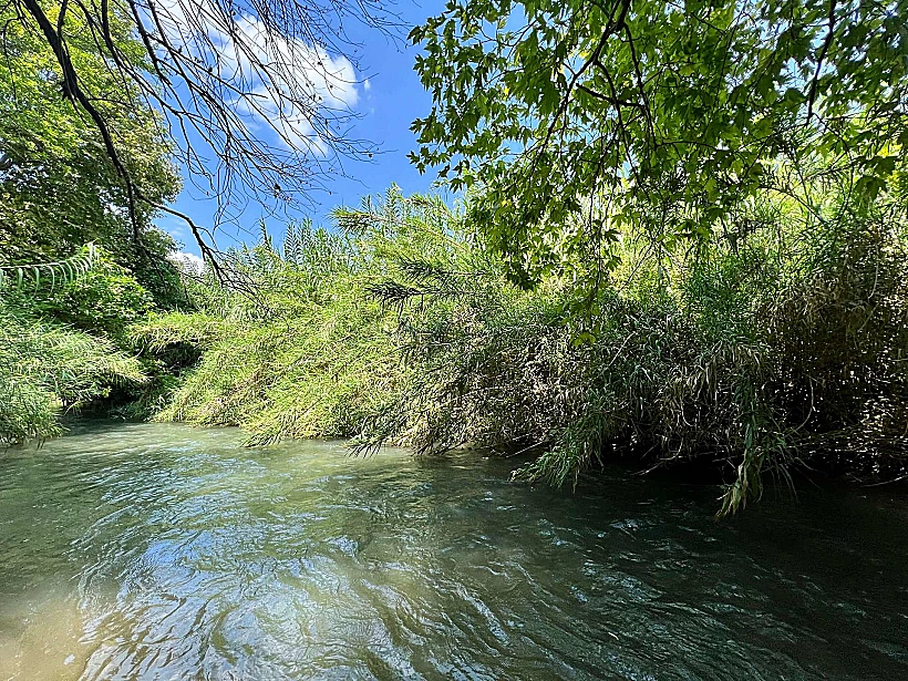 הבניאס, או בשמו הרשמי נחל חרמון