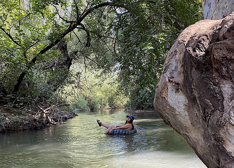 אבובים בחניון האקליפטוס