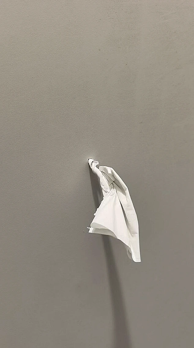 החור שהתגלה בשירותים