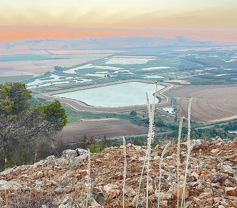קרן נפתלי ופריחת החצב בשקיעה