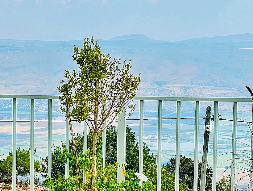הנוף ממרפסת אחוזת גפנים