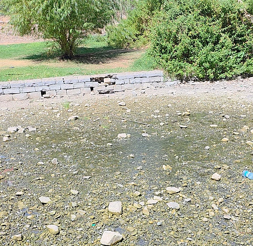 עין נון ריק