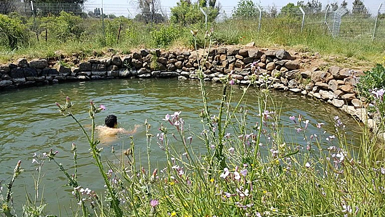 עין אמפי כשהוא מלא