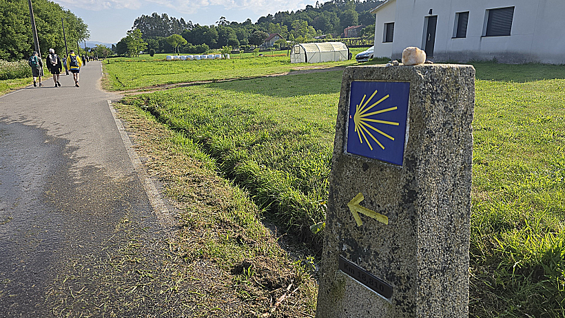 סימון השביל שמסמל את הקמינו: צדפה צהובה על רקע כחול במסלול "הקמינו פורטוגז"